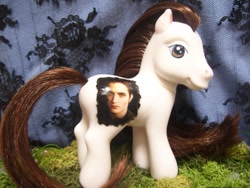 Size: 773x580 | Tagged: safe, derpibooru import, g3, edward cullen, toy, twilight (series)