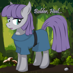 Size: 2500x2500 | Tagged: safe, artist:big-mac-a-brony, derpibooru import, boulder (pet), maud pie, solo