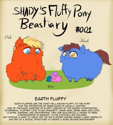 Size: 1200x1326 | Tagged: safe, artist:shadysmarty, derpibooru import, earth pony, fluffy pony, pony, bestiary, fluffy beastiary, fluffy family, fluffy pony foals, text