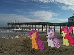 Size: 2048x1536 | Tagged: safe, artist:baleyreeves, artist:dreamcasterpegasus, derpibooru import, apple bloom, scootaloo, sweetie belle, beach, building, confident, cutie mark crusaders, irl, ocean, photo, pier, plot, ponies in real life, vector