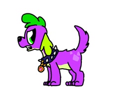 Size: 680x512 | Tagged: safe, artist:ask-labstarters, derpibooru import, spike, dog, angry, simple background, solo, spike the dog, spike-daily