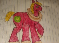 Size: 1024x736 | Tagged: safe, artist:princesskaori87, big macintosh, earth pony, pony, male, photo, solo, stallion