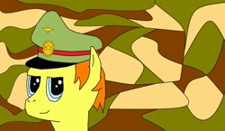 Size: 1618x940 | Tagged: safe, derpibooru import, pony, badge, camouflage, colored, hat, looking at you, military