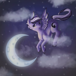 Size: 800x800 | Tagged: safe, artist:missmellifluous, derpibooru import, oc, oc only, oc:night raptor, flying, moon, night, solo