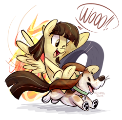 Size: 990x975 | Tagged: safe, artist:thedoggygal, derpibooru import, wild fire, dog, sibsy