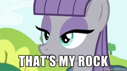 Size: 500x281 | Tagged: safe, derpibooru import, maud pie, maud pie (episode), exploitable meme, meme, memegenerator, reaction image, that's my x