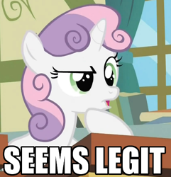 Size: 481x500 | Tagged: safe, derpibooru import, sweetie belle, pony, unicorn, female, filly, hoof on chin, image macro, meme, raised eyebrow, seems legit, solo, thinking