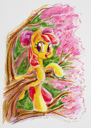 Size: 600x847 | Tagged: safe, artist:maytee, derpibooru import, apple bloom, climbing, solo, traditional art, tree