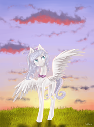 Size: 1486x2000 | Tagged: safe, artist:holka13, derpibooru import, oc, oc only, pegasus, pony, sky, solo