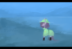 Size: 800x553 | Tagged: dead source, safe, artist:berrydrops, oc, oc only, oc:pocket, earth pony, pony, beach, clothes, female, hat, mare, raincoat, solo, water