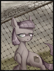 Size: 500x660 | Tagged: safe, artist:cappydarn, maud pie, earth pony, pony, barbed wire, female, gray coat, mare, solo