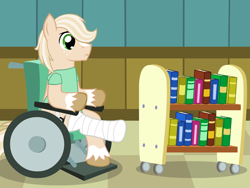 Size: 640x480 | Tagged: safe, artist:aha-mccoy, oc, oc only, oc:jay aaron mclovin, earth pony, pony, bookshelf, cast, handicapped, hospital gown, male, solo, stallion, wheelchair