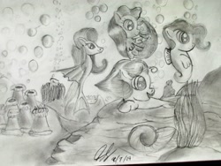 Size: 4608x3456 | Tagged: safe, artist:thegreatmewtwo, hippocampus, kelpie, merpony, sea pony, g1, g1 to g4, generation leap, group, monochrome, nix, ocean, shoo be doo, sketch, traditional art, water