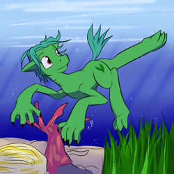 Size: 1280x1280 | Tagged: safe, artist:fuzebox, oc, oc only, kelpie, original species, claws, green, sea monster, solo, swimming, underwater