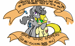 Size: 1280x800 | Tagged: safe, artist:familywing, derpibooru import, oc, oc only, oc:golden brisk, oc:silver breeze, earth pony, pony, unicorn, angry, goldeeze, old banner, shipping, vulgar