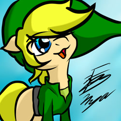 Size: 2000x2000 | Tagged: safe, artist:helenanyadepie, crossover, link, solo, the legend of zelda, the legend of zelda: the wind waker