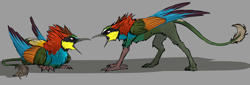 Size: 2616x894 | Tagged: safe, artist:sunny way, oc, oc only, bird, griffon, angry, colored, male, merops apiaster, paws, rcf community, solo, wings