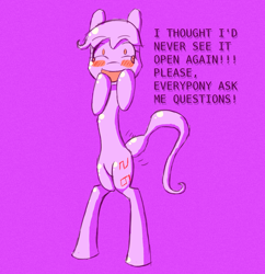 Size: 1148x1185 | Tagged: safe, artist:theskitzogamer, derpibooru import, oc, oc only, pony, ask, ask a pony, bipedal, blushing, crying, excited, happy, looking at you, open mouth, shivering, smiling, solo, static, text, tumblr, wide eyes