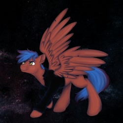 Size: 1000x1000 | Tagged: safe, artist:kira-minami, derpibooru import, oc, oc only, oc:tekuto, pegasus, pony, solo