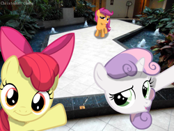 Size: 1277x958 | Tagged: safe, artist:digitalpheonix, artist:saveman71, artist:suxtonhael, artist:uxyd, apple bloom, scootaloo, sweetie belle, cutie mark crusaders, irl, long neck, photo, photobomb, ponies in real life, shadow, sweetie giraffe, vector, water fountain