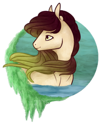 Size: 570x692 | Tagged: safe, artist:captivelegacy, oc, oc only, earth pony, pony, bust, female, mare, portrait, solo, water