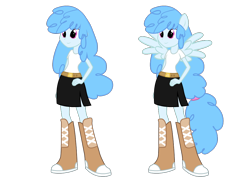 Size: 1000x720 | Tagged: safe, artist:va1ly, oc, oc only, oc:curly mane, equestria girls, equestria girls-ified, ponied up, simple background, transparent background