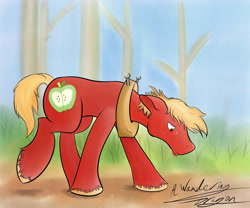 Size: 3000x2500 | Tagged: safe, artist:a-wandering-dragon, derpibooru import, big macintosh, earth pony, pony, male, solo, stallion