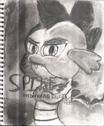 Size: 3504x4231 | Tagged: safe, artist:the_fallen_dragon, spike, dragon, charcoal drawing, reference, sketch, solo, traditional art