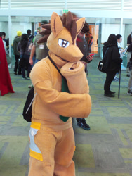 Size: 2400x3200 | Tagged: safe, doctor whooves, human, cosplay, fursuit, irl, irl human, photo