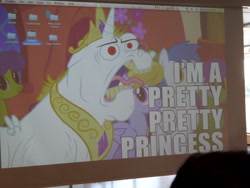 Size: 4608x3456 | Tagged: safe, artist:juu50x, bulk biceps, alicorn, pony, crystal fair con, desktop, eilemonty, humor, mac os x, male princess, meme, panel, photo, princess, thanks m.a. larson