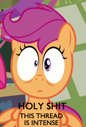 Size: 410x604 | Tagged: safe, edit, edited screencap, screencap, scootaloo, hearts and hooves day (episode), cropped, hearts and hooves day, image macro, meme, offscreen character, reaction image, shocked, solo focus, text, vulgar