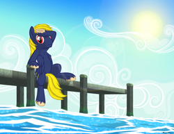 Size: 5000x3863 | Tagged: safe, artist:burnedpigeon, oc, oc only, pegasus, pony, dock, male, solo, stallion