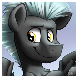 Size: 1928x1928 | Tagged: safe, artist:bcpony, thunderlane, pegasus, pony, avatar, bust, male, solo, stallion