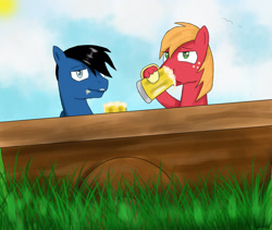 Size: 1900x1600 | Tagged: safe, artist:mlj-lucarias, big macintosh, oc, earth pony, pony, cider, male, stallion