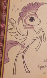 Size: 918x1517 | Tagged: safe, commander hurricane, journal of the two sisters, cutie mark, solo, traditional art