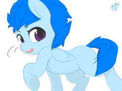 Size: 6700x5000 | Tagged: safe, artist:meetbun, oc, oc only, oc:blue flame, pegasus, pony, absurd resolution, blank flank, solo