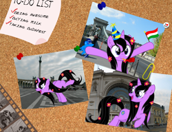 Size: 1560x1200 | Tagged: safe, artist:csillaghullo, oc, oc only, pony, unicorn, badge, bridge, budapest, film reel, flag, flower, happy, hoof in air, hungary, montage, photo, photos, solo, square, to-do list, train station