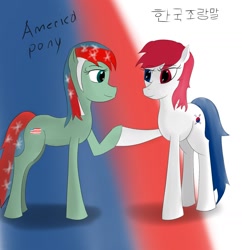 Size: 1400x1446 | Tagged: safe, artist:furfez, derpibooru import, nation ponies, south korea, united states