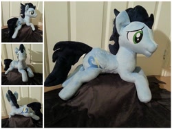 Size: 640x480 | Tagged: safe, artist:penniesponyplushies, soarin', custom, irl, photo, plushie