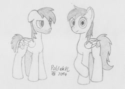 Size: 1063x751 | Tagged: safe, artist:poldekpl, oc, oc only, oc:poldek, oc:poldzia, pegasus, pony, facial hair, monochrome, pencil drawing, rule 63, self ponidox, traditional art