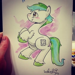 Size: 640x640 | Tagged: safe, artist:katiecandraw, oc, oc only, solo, traditional art