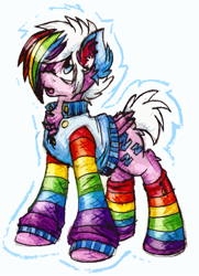 Size: 802x1105 | Tagged: safe, artist:iroxykun, oc, oc only, oc:sleepaway, pegasus, pony, clothes, cutie mark, male, rainbow, rainbow socks, socks, solo, stallion, striped socks, sweater, traditional art