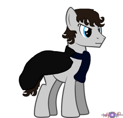 Size: 1024x981 | Tagged: safe, artist:wayup, benedict cumberbatch, clothes, ponified, scarf, sherlock holmes, solo, trenchcoat