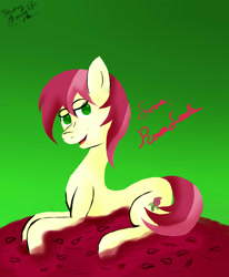 Size: 1008x1224 | Tagged: safe, artist:nosragphoenix13, roseluck, earth pony, pony, cutie mark, female, mare, solo, two toned mane