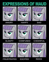 Size: 4500x5700 | Tagged: safe, artist:drawponies, maud pie, earth pony, pony, absurd resolution, chart, expression, expressions, facial expressions, female, implied rock, mare, maud being maud