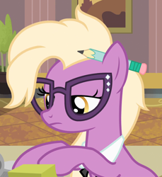 Size: 914x996 | Tagged: safe, screencap, grace manewitz, rarity takes manehattan, background pony, solo