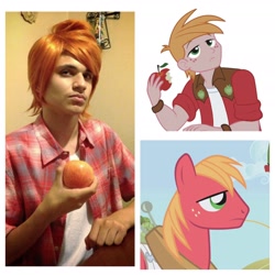 Size: 1936x1936 | Tagged: safe, artist:sonicarchiefan45, big macintosh, human, equestria girls, cosplay, irl, irl human, photo