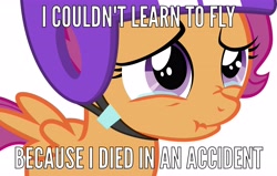 Size: 5000x3175 | Tagged: safe, scootaloo, helmet, image macro, implied grimdark, meme, nationwide, nationwide dead kid, scrunchy face, solo