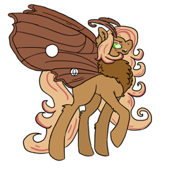 Size: 700x700 | Tagged: safe, oc, oc only, oc:silk chocolate, mothpony, original species, solo, supermodel