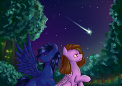 Size: 3507x2480 | Tagged: safe, artist:szopwmeloniku, oc, oc only, pegasus, pony, digital art, everfree forest, forest, night, sad, stars, tree